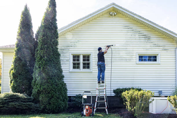 Best Affordable Pressure Washing  in Wfield, IN